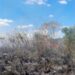 FUEGO CONTROLADO: Incendio de pastizales puso en riesgo a cinco viviendas en Riachuelo