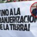CONGRESO DE LA NACIÓN: Piden reinstaurar la Ley de Tierras y avanzar con el Presupuesto 2027