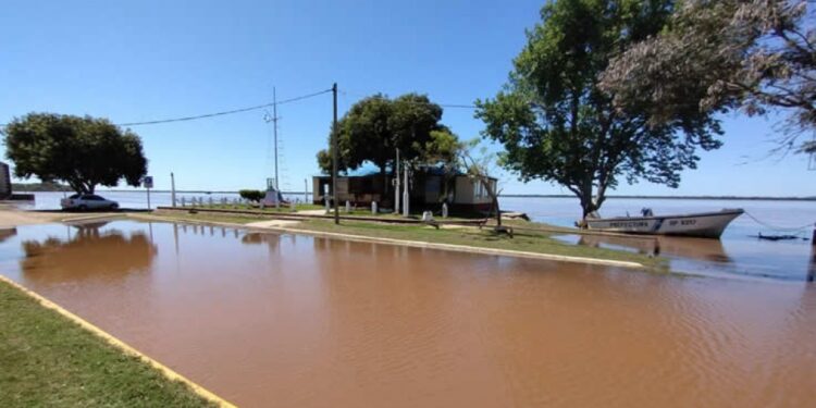 ALERTA Y EVACUACIÓN: El Niño: Paso de los Libres y Alvear en alerta por crecida del Uruguay