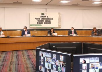 Nuevas medidas para pagos digitales y aduanas avanzan en la Cámara de Diputados: ¿qué proponen?