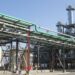 El freno a una norma en Europa permitió acelerar exportaciones de un producto clave por 180.000 toneladas