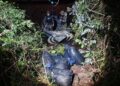 NARCOTRÁFICO: Incautan 177 kilos de marihuana valuados en más de $675 millones