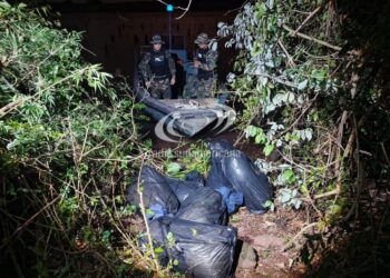 NARCOTRÁFICO: Incautaron casi 177 kilos de marihuana valuados en más de $675 millones