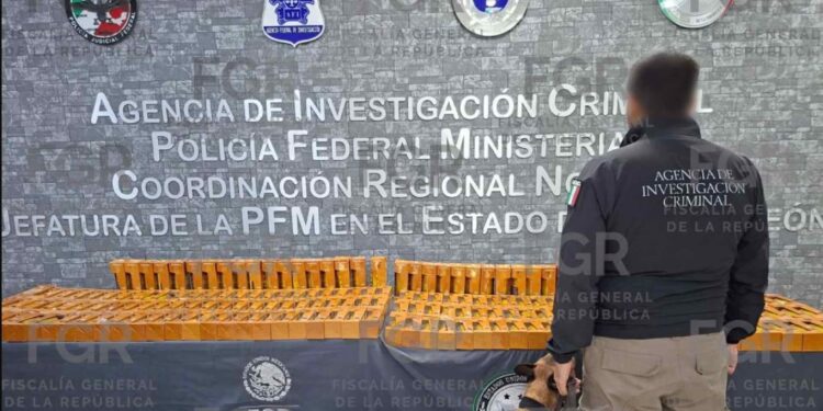 Era cocaína y no suplemento vitamínico: detienen a sujeto que buscaba ingresar a Nuevo León con casi 100 litros de droga líquida