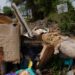 CIUDAD DE CORRIENTES: No aprendemos más: arrojaron basura de todo tipo en una esquina