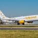 DESPUÉS DE 57 DÍAS SIN VOLAR: Flybondi se presentó en concurso preventivo de acreedores
