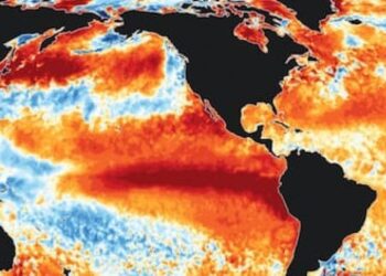 IMPACTO DEL CLIMA: El Niño: «Esta vez será más intenso que los anteriores», alertaron