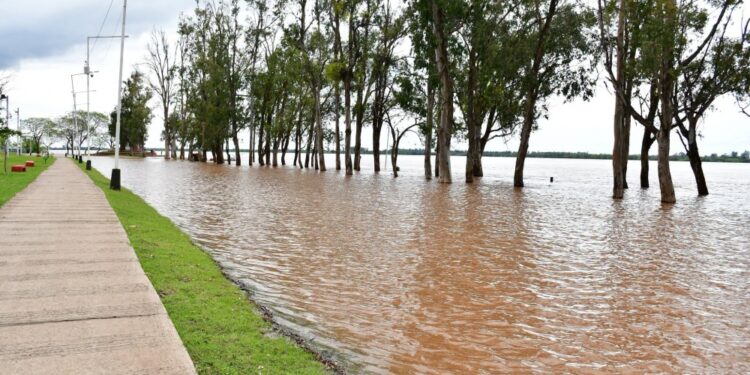 FENÓMENO DE EL NIÑO: Creciente del Rio Uruguay: «En Monte Caseros la situación está controlada»