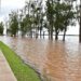FENÓMENO DE EL NIÑO: Creciente del Rio Uruguay: «En Monte Caseros la situación está controlada»