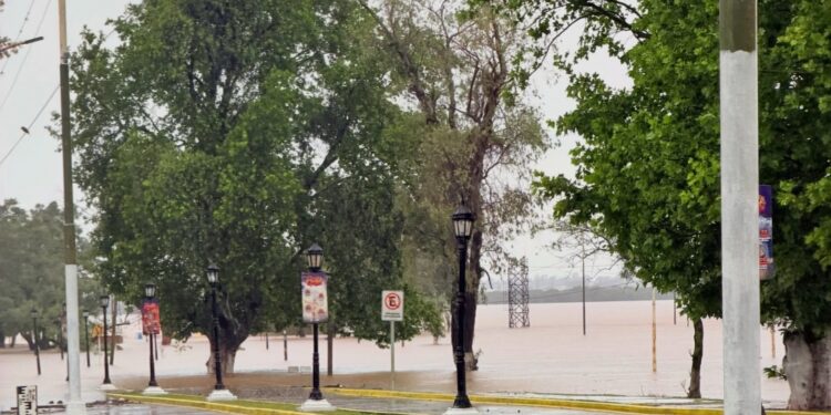 DEFENSA CIVIL: Crecida del Río Uruguay: hay 31 evacuados en Paso de los Libres