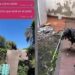 INSÓLITO: Le hizo creer a su tía que un cuervo se llevó al perro y la broma se le fue de las manos