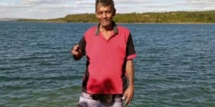 Un hombre muere por una reacción alérgica a hormigas de fuego en Brasil: «Fueron muchas las picaduras a la vez»