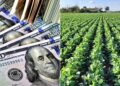 La soja trae alivio al Gobierno: liquidó USD 3.200 millones en septiembre y aportará otros USD 11.000 millones hasta el verano