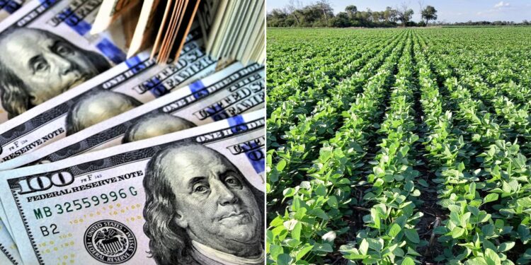 La soja trae alivio al Gobierno: liquidó USD 3.200 millones en septiembre y aportará otros USD 11.000 millones hasta el verano