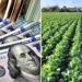 La soja trae alivio al Gobierno: liquidó USD 3.200 millones en septiembre y aportará otros USD 11.000 millones hasta el verano