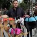 Fran Díaz, rescatista y creador de la Fundación Animal Rescue: «Siempre digo que tengo una especie de imán porque, vaya donde vaya, termino encontrándome animales que necesitan ayuda»