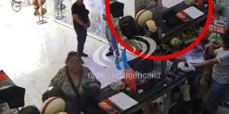 VIDEO: Barrio Laguna Seca: una «mechera» robó un casco de un comercio