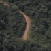 TRAS EL FALLO DE LA CORTE: Misiones busca frenar la venta indiscriminada de tierras a extranjeros