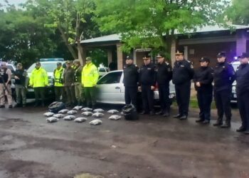 HAY TRES DETENIDOS: Operativo cerrojo: secuestraron 15 kilos de marihuana en San Cosme