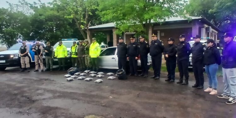 HAY TRES DETENIDOS: Operativo cerrojo: secuestraron 15 kilos de marihuana en San Cosme