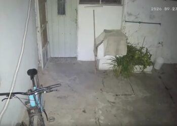 ATERRADOR: Le desaparecían cosas de su casa, instaló una cámara para atrapar al ladrón y se llevó una sorpresa insólita