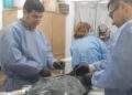 GOBIERNO MUNICIPAL – CONTROL DE COMERCIOS Y PROTECCIÓN ANIMAL, SE REALIZARON 56 CASTARACIONES EN UN MES EN LA LOCALIDAD