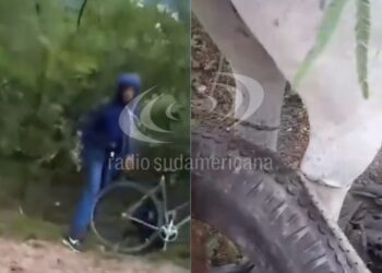 ABERRANTE SITUACIÓN EN CHACO: Video: joven fue denunciado por supuesto abuso sexual contra una yegua
