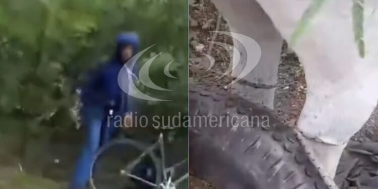 ABERRANTE SITUACIÓN EN CHACO: Video: joven fue denunciado por supuesto abuso sexual contra una yegua