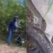 ABERRANTE SITUACIÓN EN CHACO: Video: joven fue denunciado por supuesto abuso sexual contra una yegua