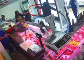 Violento robo a los tiros en una carnicería de La Plata: vaciaron la caja y saquearon la carne del mostrador