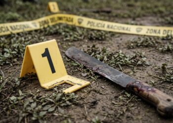 EN VIVO| Seguridad, narcotráfico y crimen en México hoy 11 de octubre: balacera en refinería de Pemex deja un vigilante muerto y uno herido en Veracruz