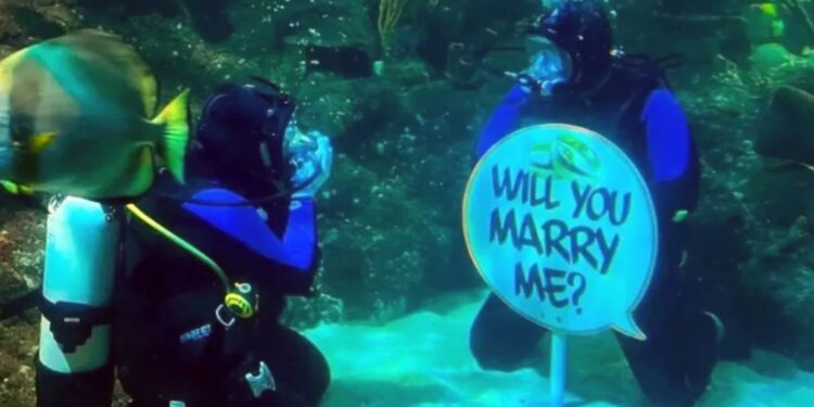 Le propuso matrimonio a su novia bajo el agua en un tanque de tiburones: «Quería hacerlo en un lugar único, diferente y memorable»