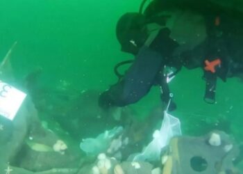 Los restos de un submarino de la Primera Guerra Mundial están derramando explosivos en el mar