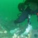 Los restos de un submarino de la Primera Guerra Mundial están derramando explosivos en el mar