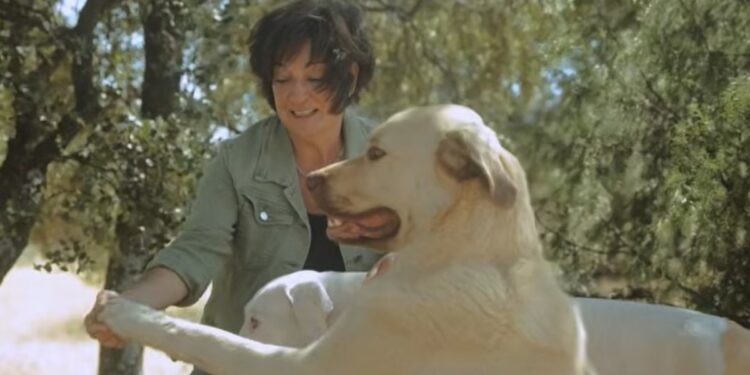 Isabel Jiménez, etóloga, sobre los  perros que le ladran a otros y no son agresivos: “Un perro que grita es un perro que no puede, no un perro que quiere”