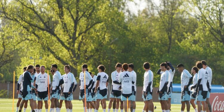 Selección Argentina vs. Burkina Faso: vuelve Enzo Fernández y las dudas que aún tiene Scaloni
