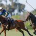 Sigue la Triple Corona de polo: arranca el Abierto de Tortugas tras el título de La Natividad-La Dolfina en Hurlingham