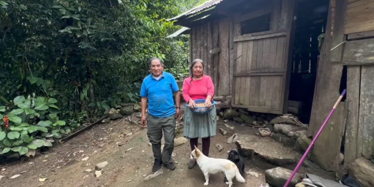 Tiene 78 años y lleva décadas viviendo con su esposa en medio del bosque tras huir del terrorismo de los años 80: «La ciudad no me gusta»