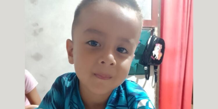 Caso Loan: el hijo de Victoria Caillava declaró ante el Tribunal pero dijo no recordar llamadas clave