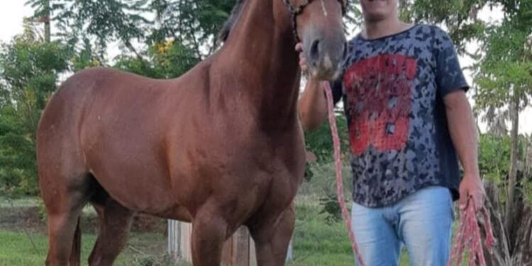 Crimen narco en Misiones: sicarios brasileños y un joven acribillado de 12 balazos por una deuda