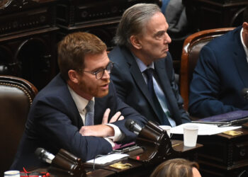 Tras el fallo de la Corte, Pichetto y Massot presentaron una cautelar para volver limitar la venta de tierras a extranjeros