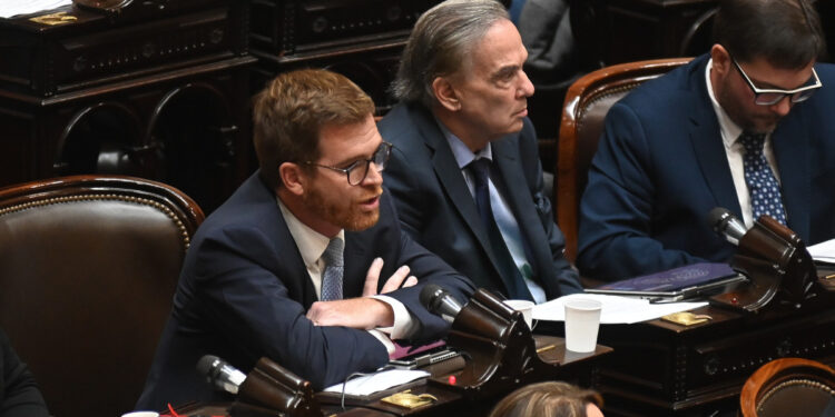 Tras el fallo de la Corte, Pichetto y Massot presentaron una cautelar para volver limitar la venta de tierras a extranjeros