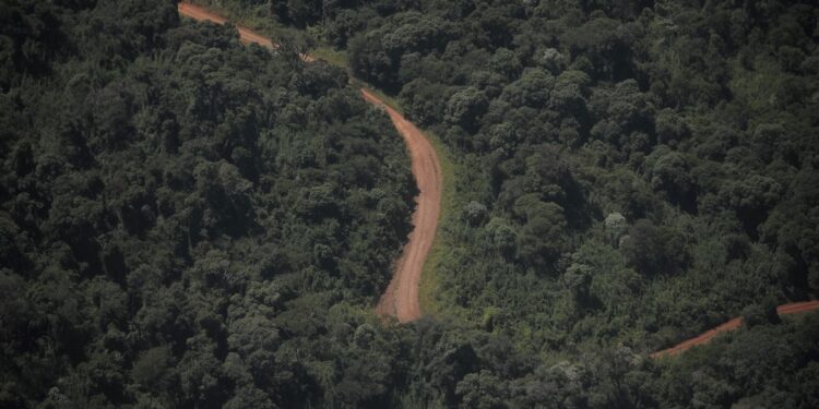 Una provincia que tiene el 90% de su línea limítrofe con otros países fue a la Justicia para frenar la venta sin limitaciones de tierras a extranjeros