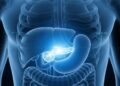 “Podrían triplicar la supervivencia”: los avances científicos que buscan detectar y tratar a tiempo el cáncer de páncreas