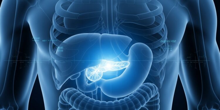 “Podrían triplicar la supervivencia”: los avances científicos que buscan detectar y tratar a tiempo el cáncer de páncreas