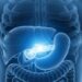 “Podrían triplicar la supervivencia”: los avances científicos que buscan detectar y tratar a tiempo el cáncer de páncreas