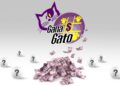 Dónde ver el Gana Gato en vivo y la lista de resultados del sábado 10 de octubre