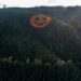 La increíble cara sonriente formada por árboles que aparece cada otoño en un bosque