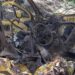Ejército frusta atentado terrorista en la vía Panamerica: un taxi había sido cargado con explosivos por las disidencias de las Farc