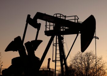 Los precios del petróleo cayeron tras el aumento de las exportaciones regionales y el plan del G7 para liberar reservas
